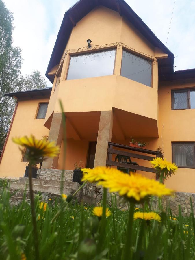 Vila Casa Ionel Si Dani Fundata Exteriér fotografie